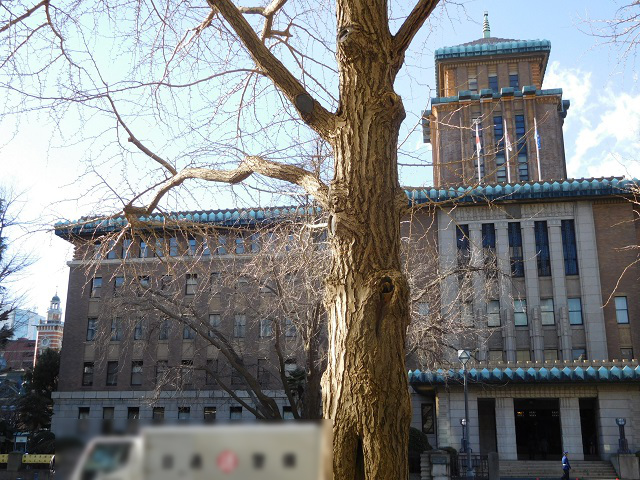 f:id:bata_sun:20170206144013j:plain