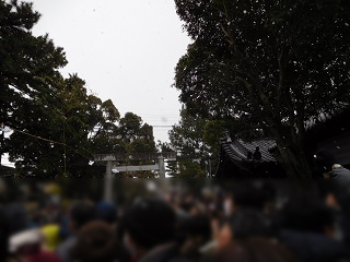 f:id:bata_sun:20170218201539j:plain f:id:bata_sun:20170218201539j:plain