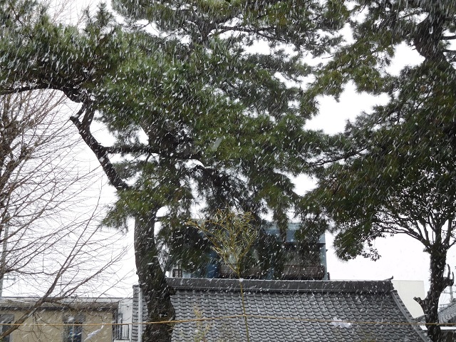 f:id:bata_sun:20170218201610j:plain f:id:bata_sun:20170218201610j:plain