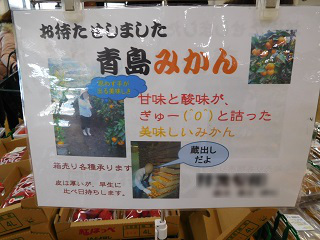 f:id:bata_sun:20170222065231j:plain