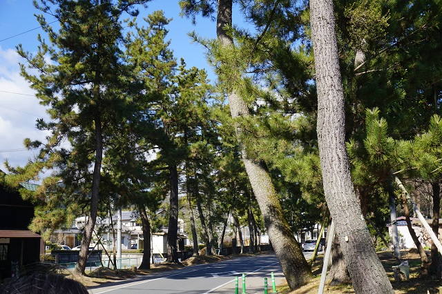 f:id:bata_sun:20170223131841j:plain