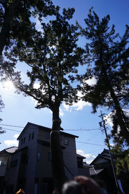 f:id:bata_sun:20170223133203j:plain