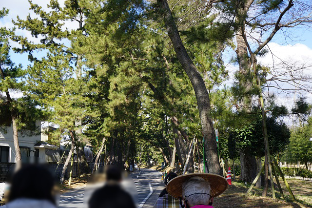 f:id:bata_sun:20170223133254j:plain