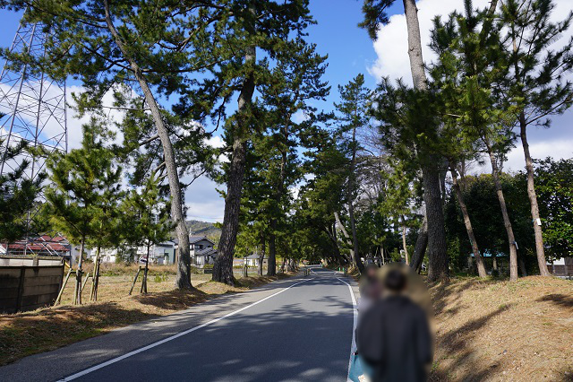 f:id:bata_sun:20170223134010j:plain