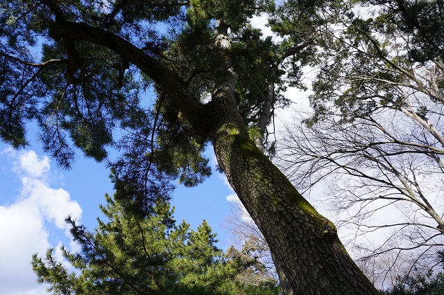 f:id:bata_sun:20170223134454j:plain