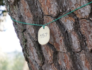 f:id:bata_sun:20170223134506j:plain