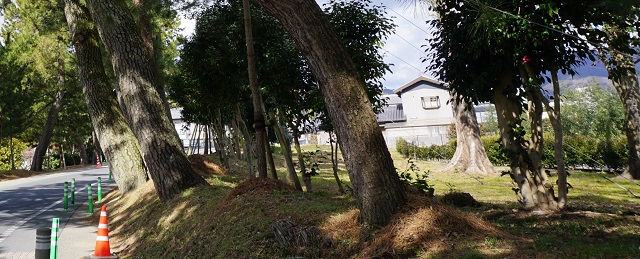 f:id:bata_sun:20170223134621j:plain