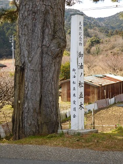 f:id:bata_sun:20170223135102j:plain