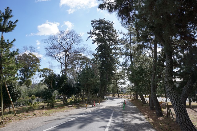 f:id:bata_sun:20170223135305j:plain