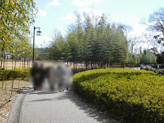 f:id:bata_sun:20170223141646j:plain