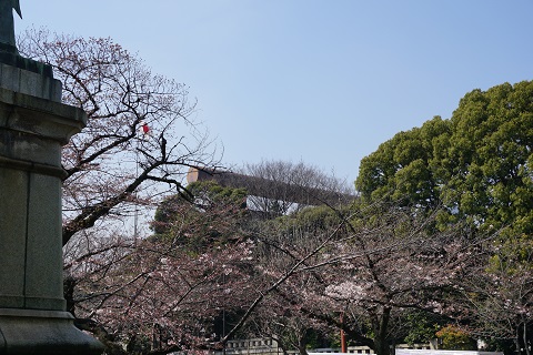 f:id:bata_sun:20170412194431j:plain