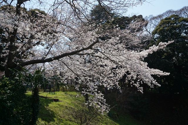 f:id:bata_sun:20170414065840j:plain f:id:bata_sun:20170414065840j:plain