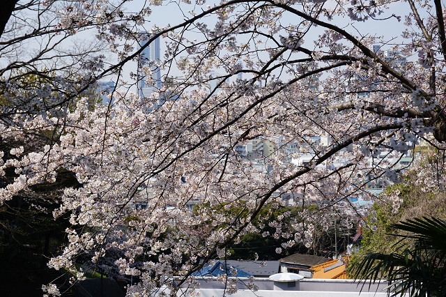 f:id:bata_sun:20170414065852j:plain f:id:bata_sun:20170414065852j:plain