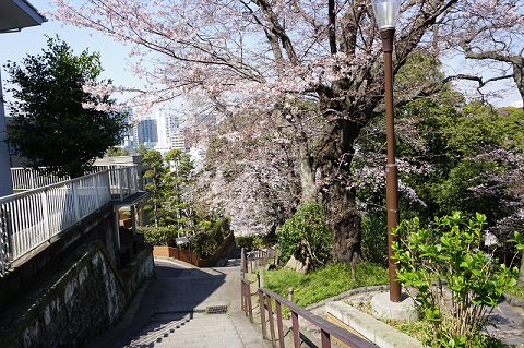 f:id:bata_sun:20170414071815j:plain f:id:bata_sun:20170414071815j:plain