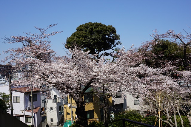 f:id:bata_sun:20170414072737j:plain f:id:bata_sun:20170414072737j:plain