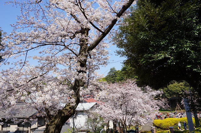 f:id:bata_sun:20170414072904j:plain f:id:bata_sun:20170414072904j:plain