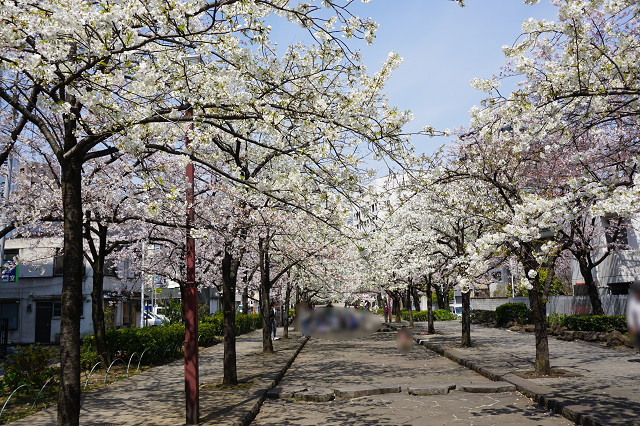 f:id:bata_sun:20170415215726j:plain