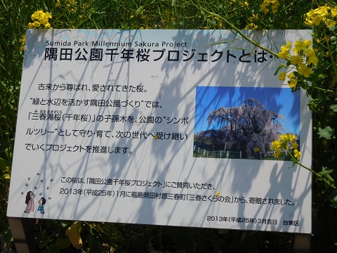 f:id:bata_sun:20170415220150j:plain