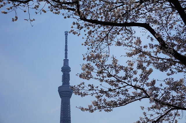 f:id:bata_sun:20170415220313j:plain