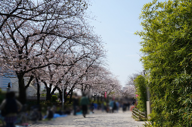 f:id:bata_sun:20170415220523j:plain