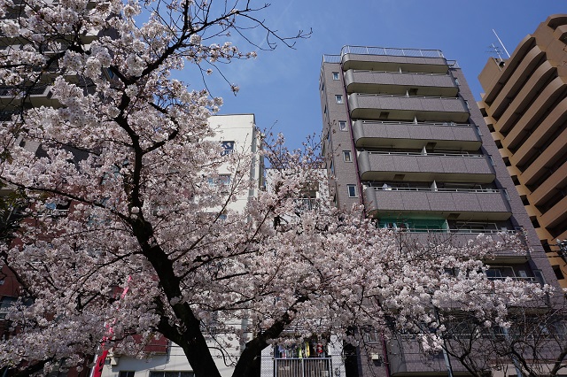 f:id:bata_sun:20170415220538j:plain