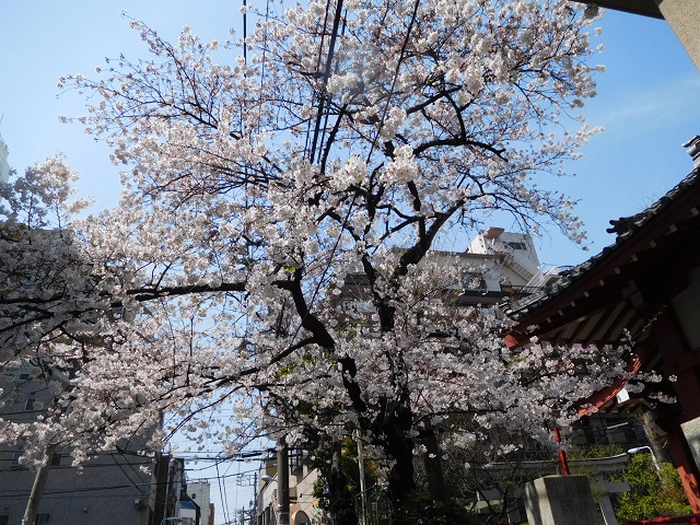 f:id:bata_sun:20170416134907j:plain