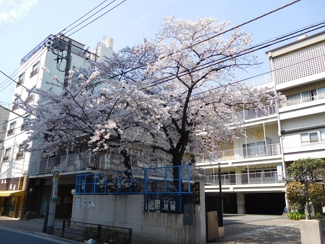f:id:bata_sun:20170416135813j:plain