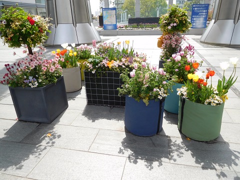 f:id:bata_sun:20170417220403j:plain f:id:bata_sun:20170417220403j:plain