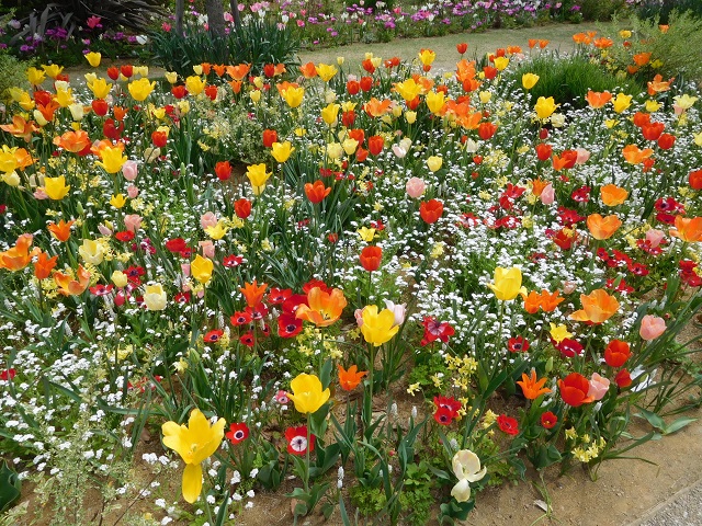 f:id:bata_sun:20170417222646j:plain