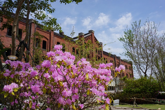 f:id:bata_sun:20170417223540j:plain f:id:bata_sun:20170417223540j:plain