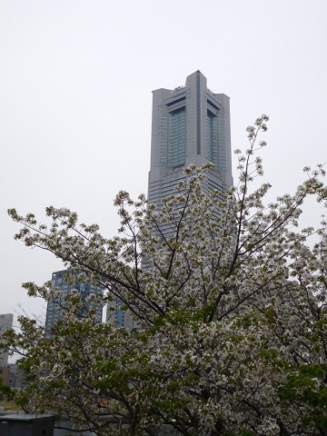 f:id:bata_sun:20170417224945j:plain f:id:bata_sun:20170417224945j:plain