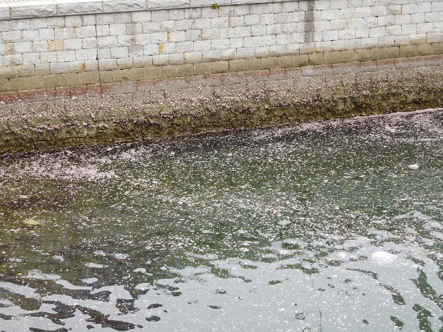 f:id:bata_sun:20170417225058j:plain f:id:bata_sun:20170417225058j:plain