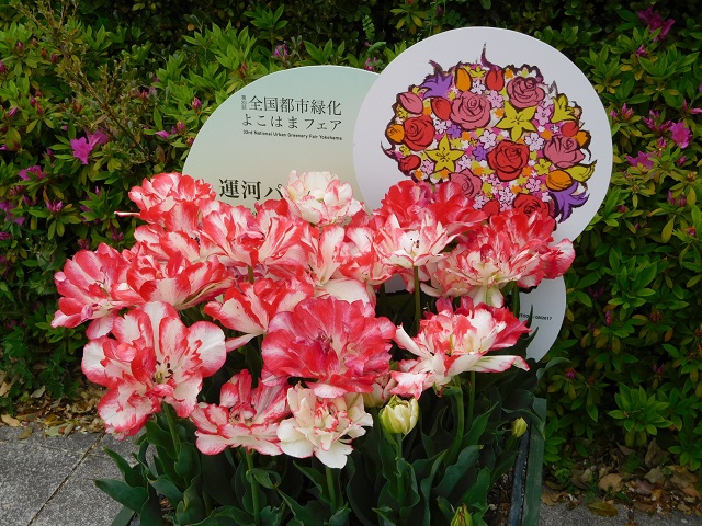 f:id:bata_sun:20170417225219j:plain f:id:bata_sun:20170417225219j:plain