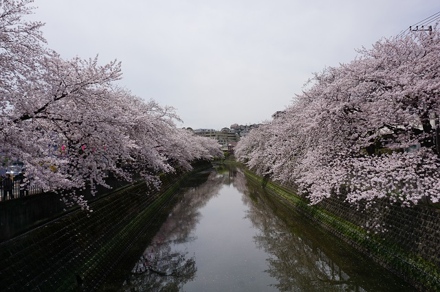 f:id:bata_sun:20170421142115j:plain f:id:bata_sun:20170421142115j:plain