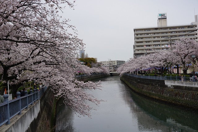 f:id:bata_sun:20170421143135j:plain f:id:bata_sun:20170421143135j:plain