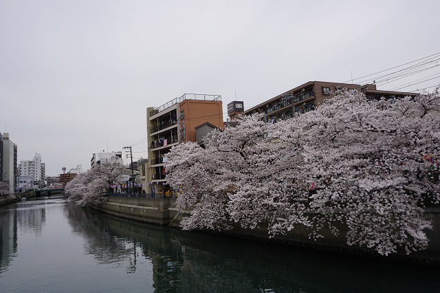 f:id:bata_sun:20170422085244j:plain f:id:bata_sun:20170422085244j:plain