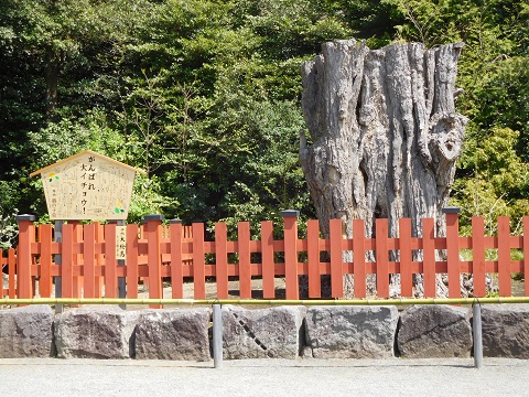 f:id:bata_sun:20170514084449j:plain