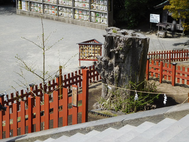 f:id:bata_sun:20170514085951j:plain