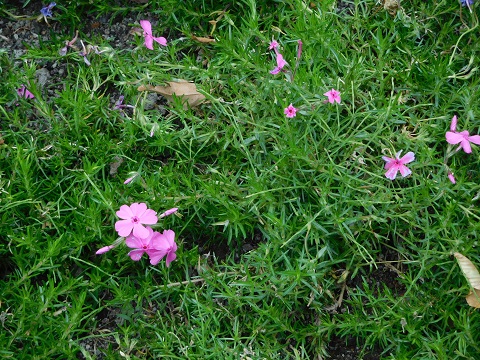 f:id:bata_sun:20170521105803j:plain