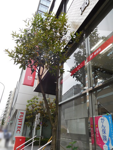 f:id:bata_sun:20170521110002j:plain