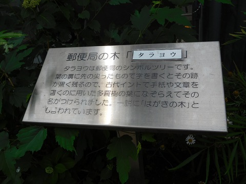 f:id:bata_sun:20170521110018j:plain