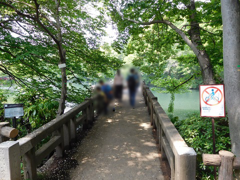 f:id:bata_sun:20170526080723j:plain