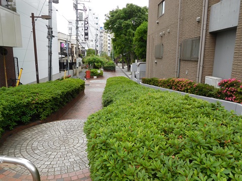 f:id:bata_sun:20170529191316j:plain