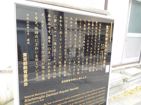 f:id:bata_sun:20170601162433j:plain f:id:bata_sun:20170601162433j:plain