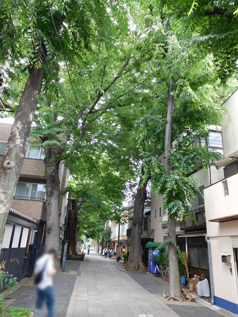 f:id:bata_sun:20170601162844j:plain f:id:bata_sun:20170601162844j:plain