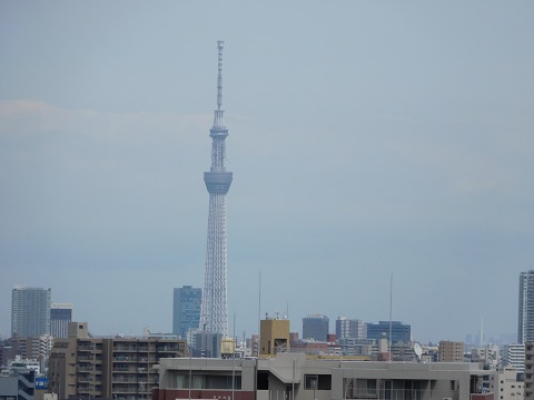 f:id:bata_sun:20170601182336j:plain f:id:bata_sun:20170601182336j:plain