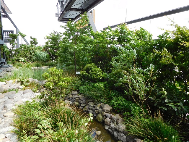 f:id:bata_sun:20170601182507j:plain f:id:bata_sun:20170601182507j:plain