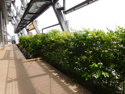 f:id:bata_sun:20170601183021j:plain f:id:bata_sun:20170601183021j:plain