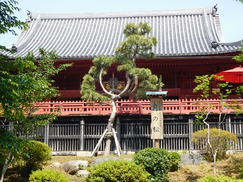 f:id:bata_sun:20170609193546j:plain f:id:bata_sun:20170609193546j:plain