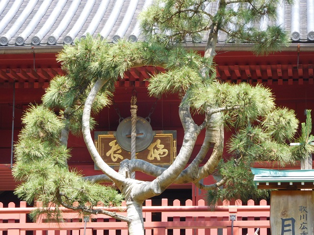 f:id:bata_sun:20170609193832j:plain f:id:bata_sun:20170609193832j:plain